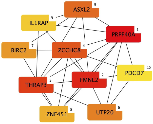 FIGURE 4