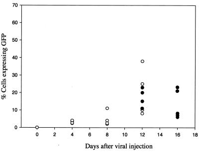 FIG. 8