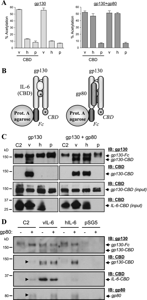 FIG. 7.