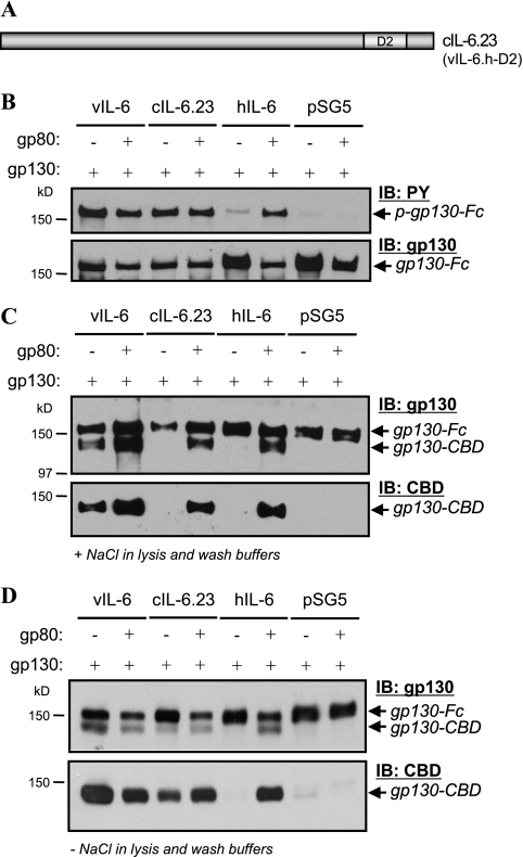 FIG. 8.