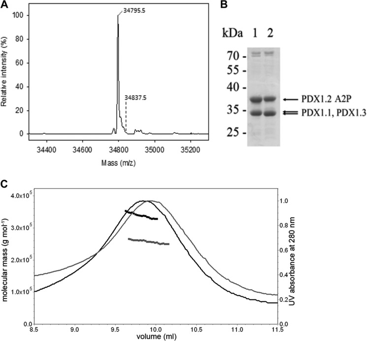 FIGURE 7.