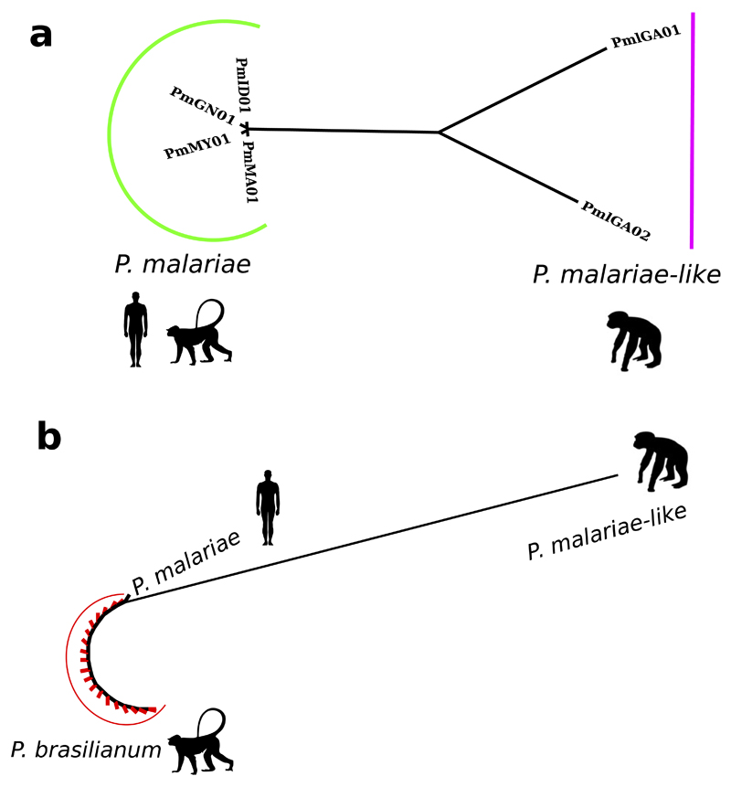 Extended Data Figure 2