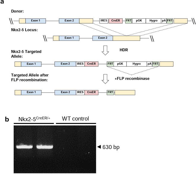 FIG. 1