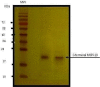 Fig. 5.