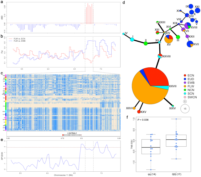 Figure 4: