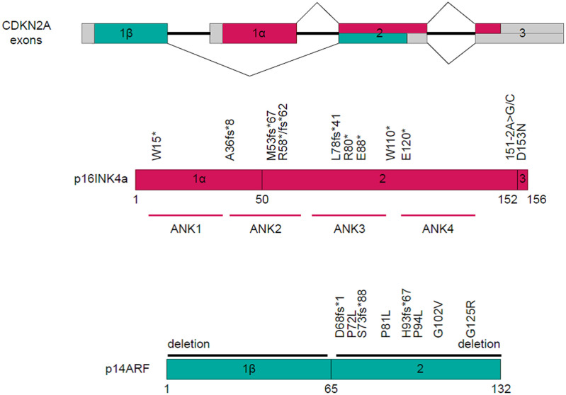 Figure 5