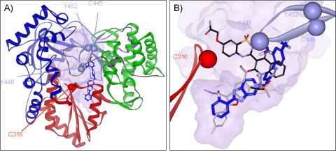 Fig. 6.