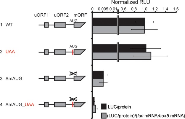 FIG 4 