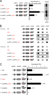 FIG 2