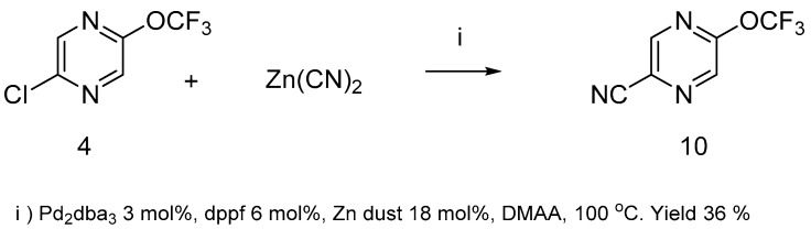 Scheme 5