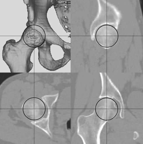 Fig. 3