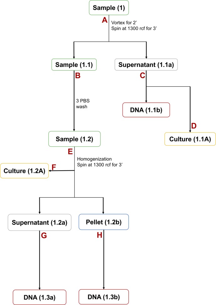 Fig 9