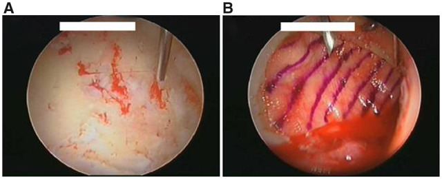 Fig. 9.