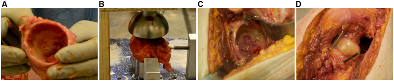Fig. 12.