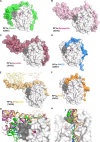 Figure 1—figure supplement 2.