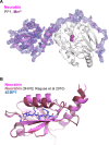 Figure 6—figure supplement 1.