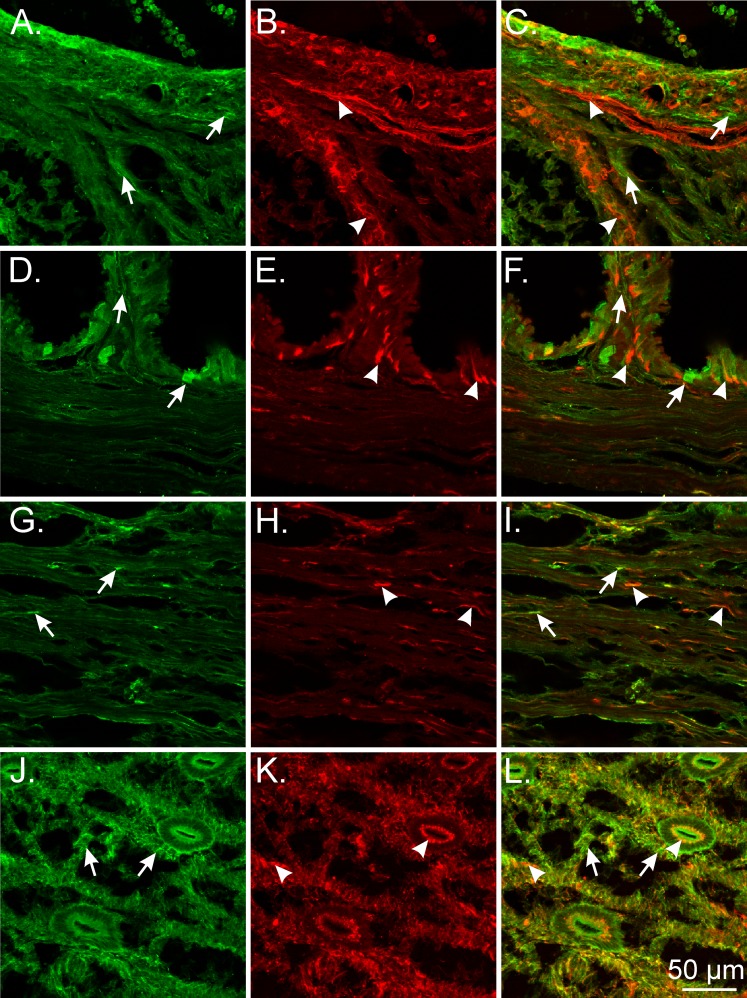 FIG. 9