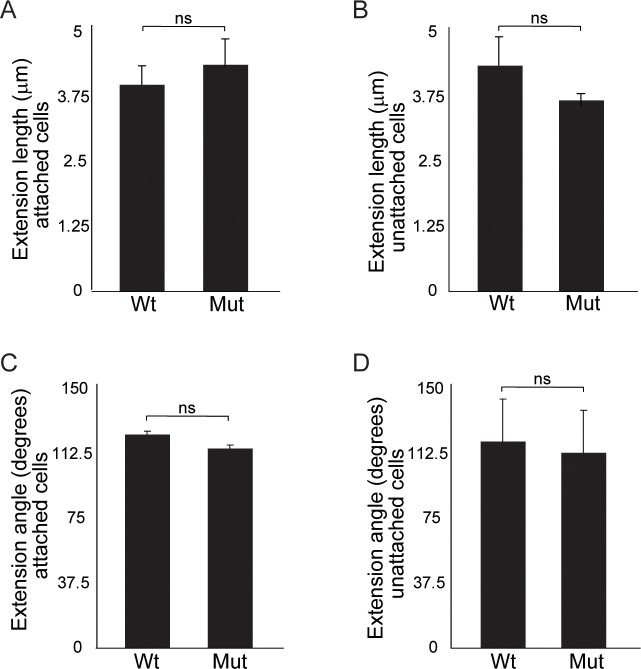 Figure 5—figure supplement 1.