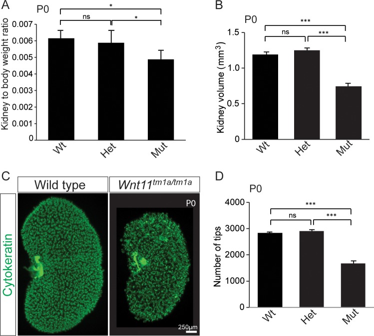 Figure 1—figure supplement 2.