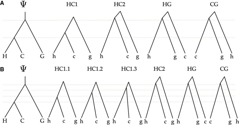 Figure 9.