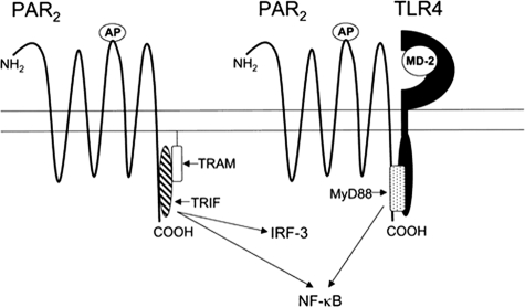 FIGURE 10.