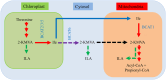 Fig. 2