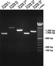 Fig. S3.
