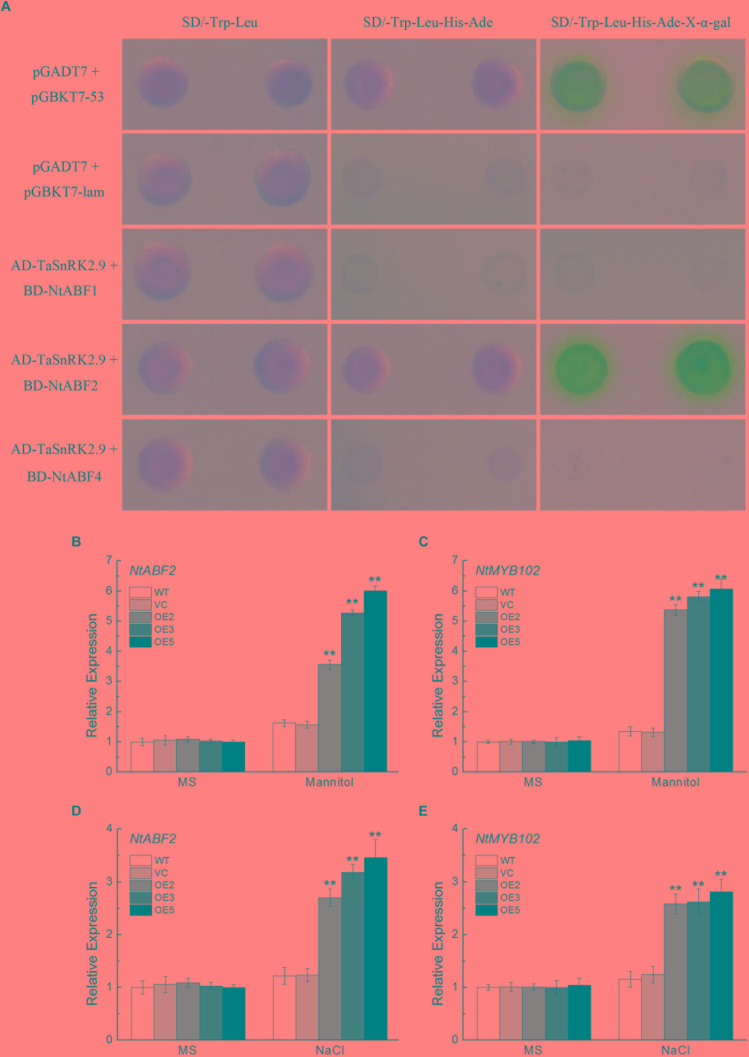 FIGURE 10