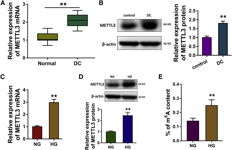 Figure 2