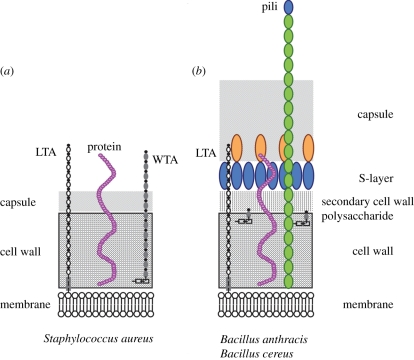 Figure 1.