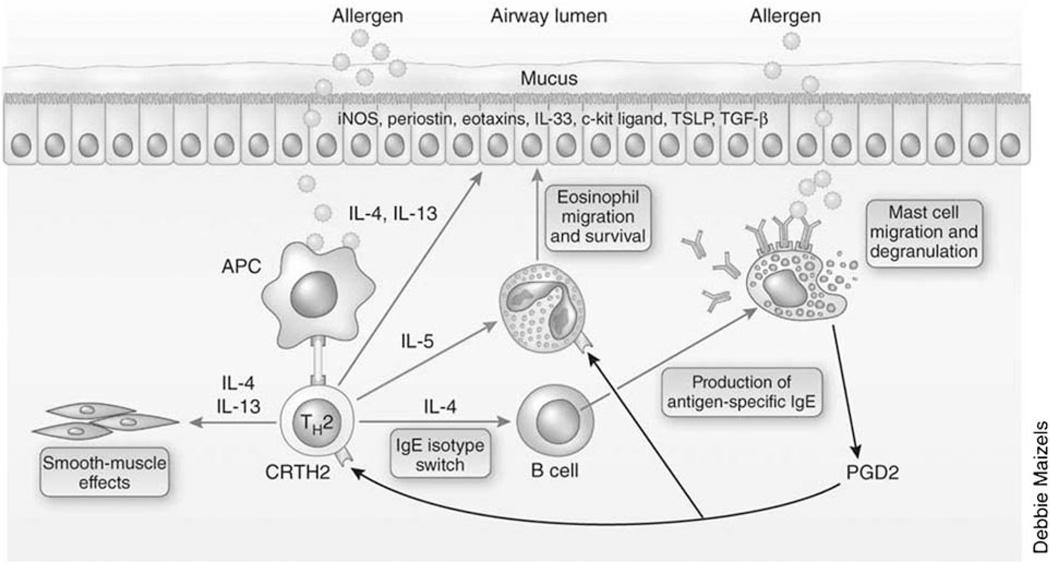 FIGURE 3