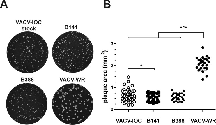 FIG 1