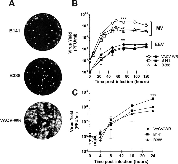 FIG 3