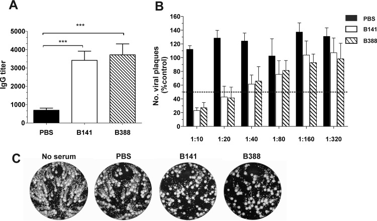 FIG 4