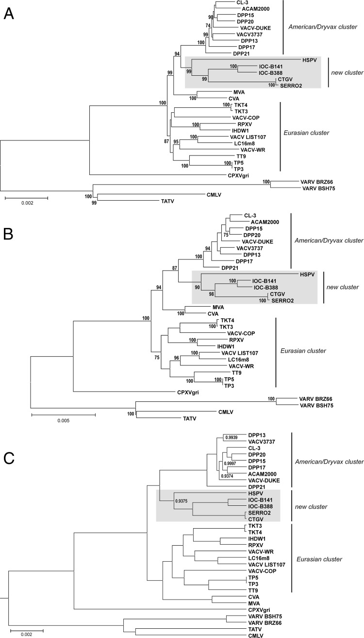 FIG 8