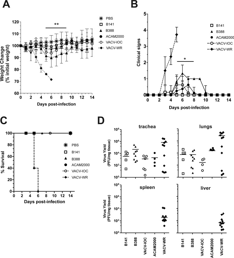 FIG 6