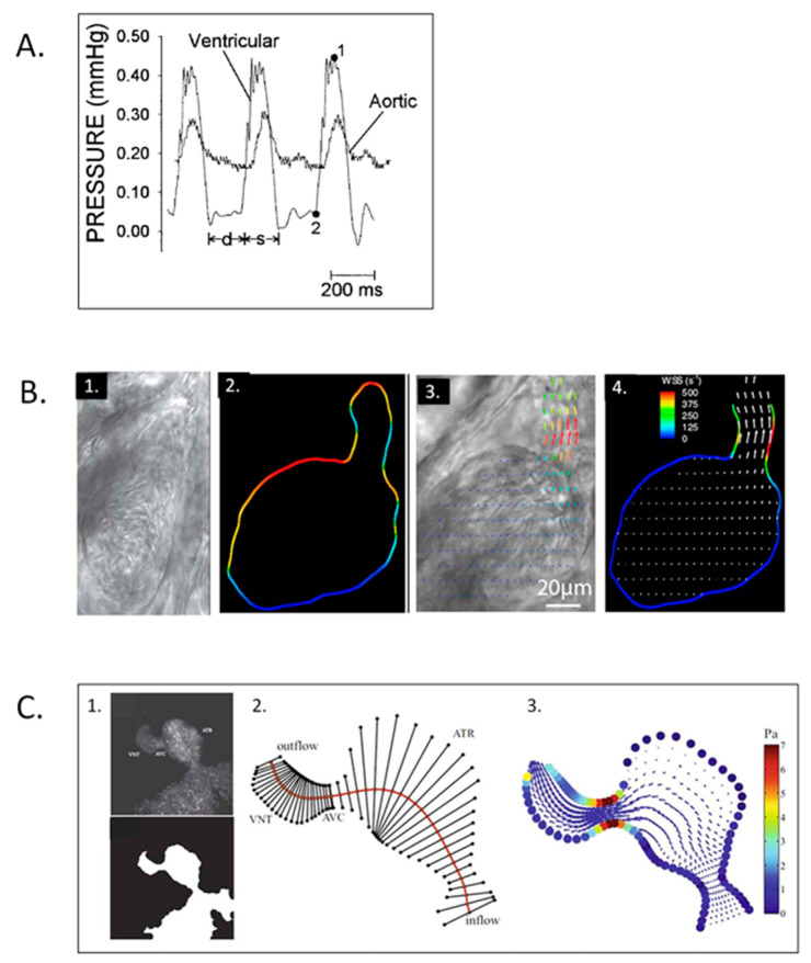 Figure 17