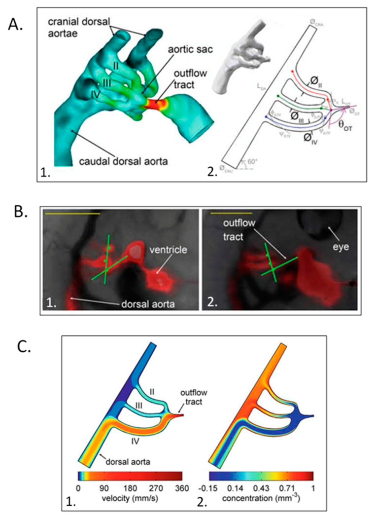 Figure 12