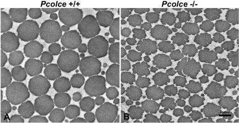 FIG. 5.