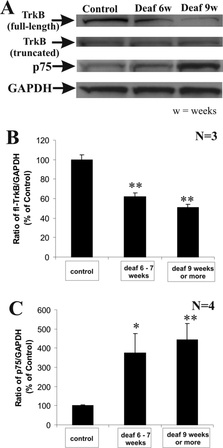 Figure 4-6921