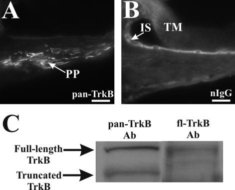 Figure 2-6921