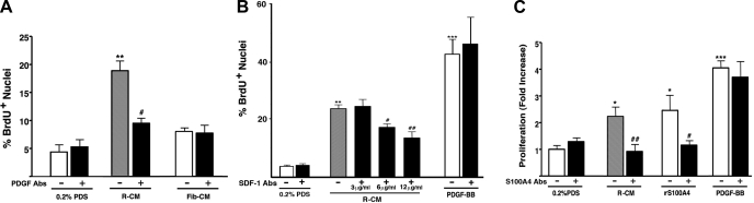 Fig. 10.