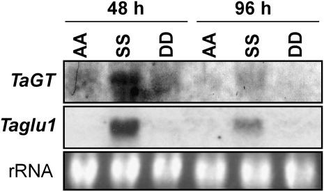 Figure 6.