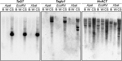 Figure 7.