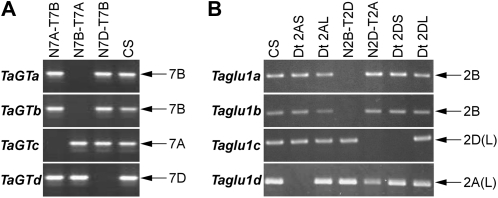 Figure 3.