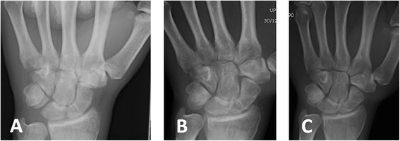 Fig. 5