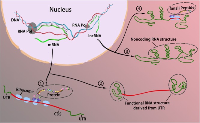 FIGURE 1