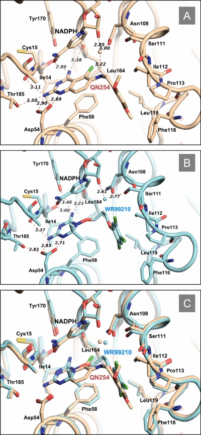 FIG. 1.