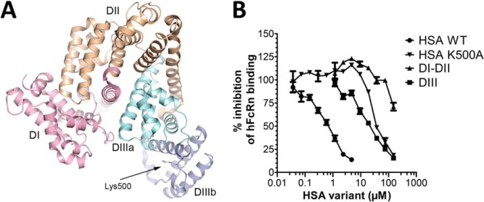 FIGURE 1.