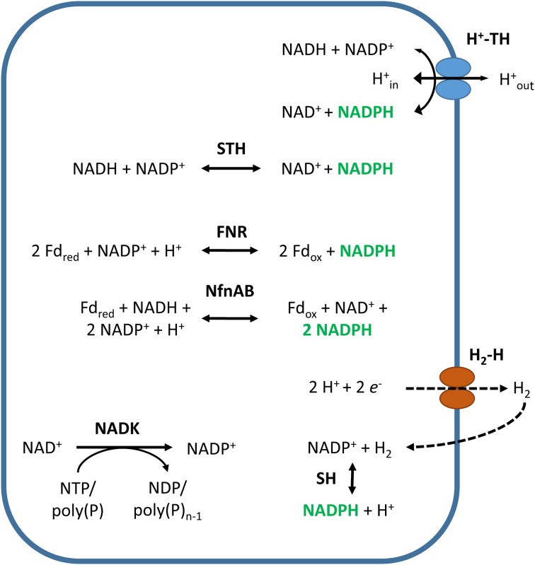 Figure 6